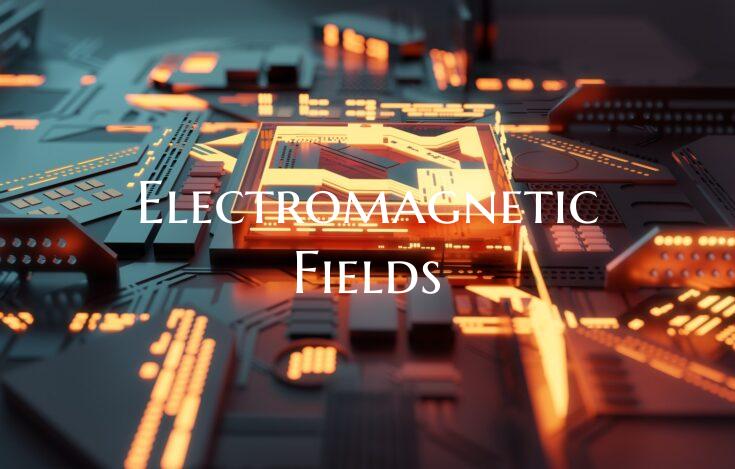 Electromagnetic Fields