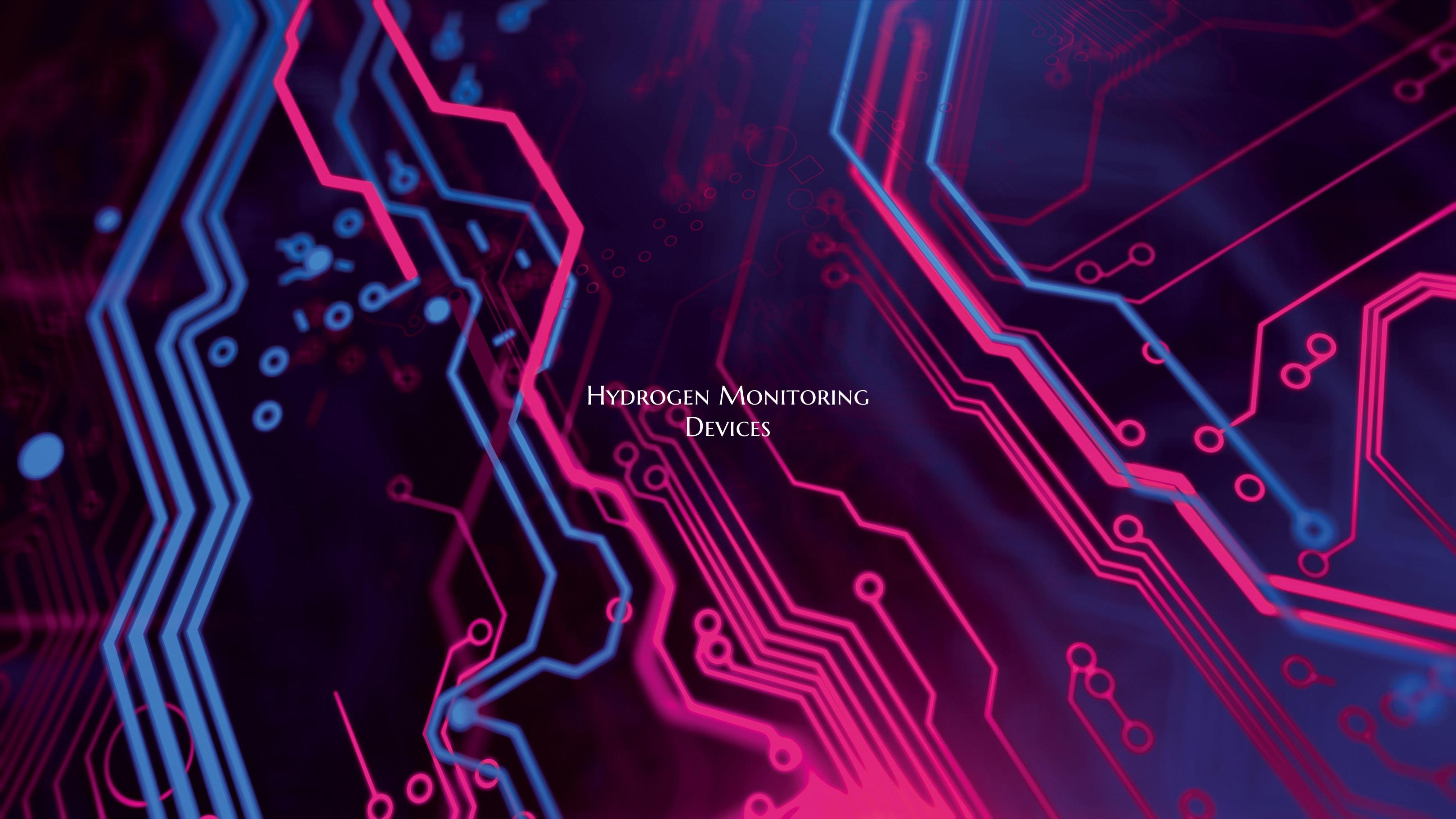 Hydrogen Monitoring Devices