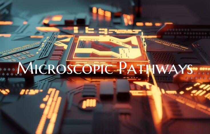 Microscopic Pathways